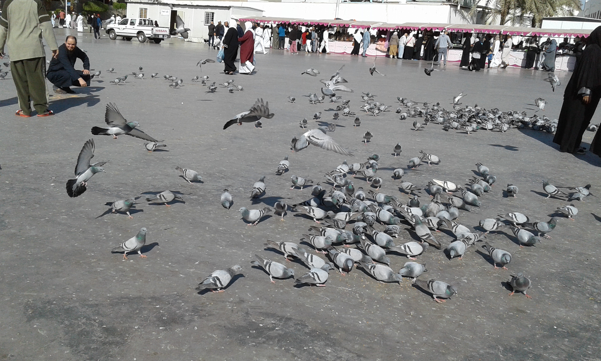 Quba Mosque Yard